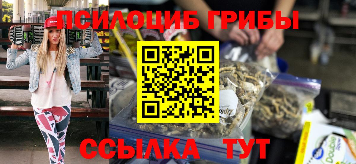 Галлюциногенные грибы Cubensis  Вход с VPN  Вольск 
